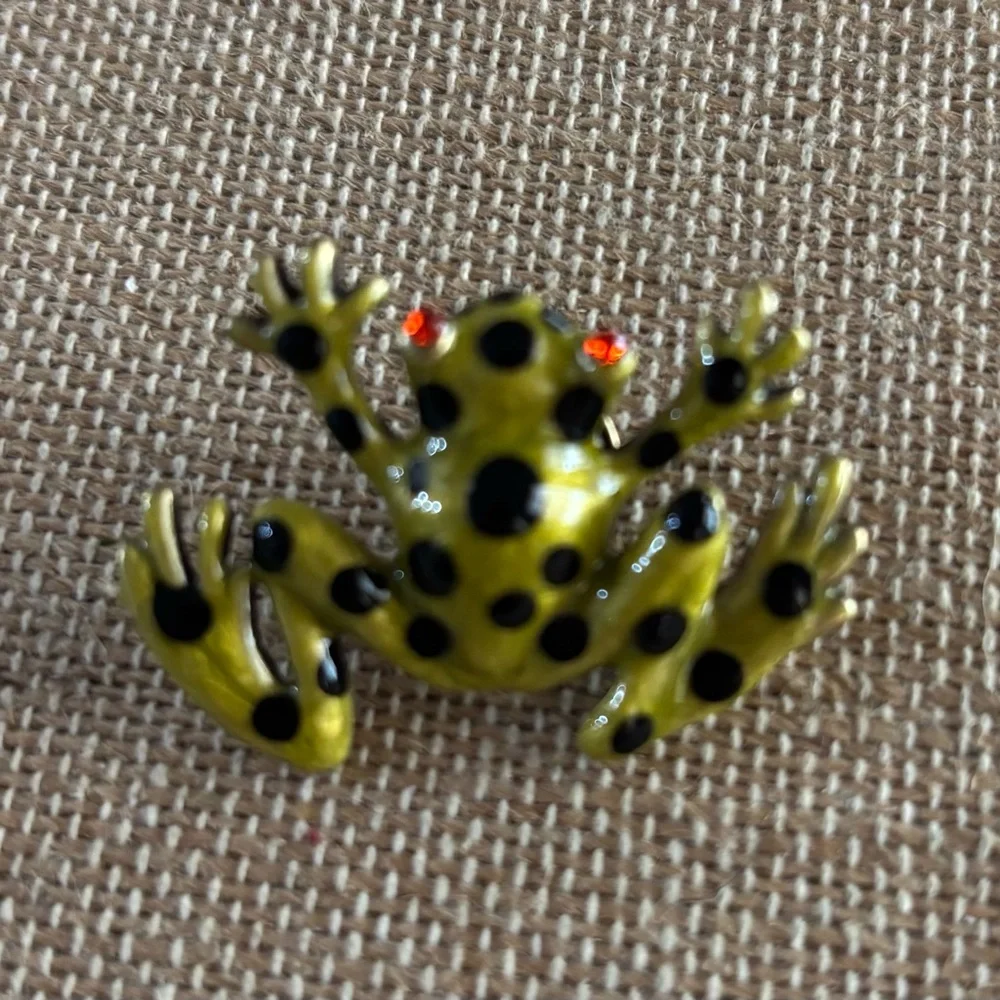 Chico’s Frog Pin